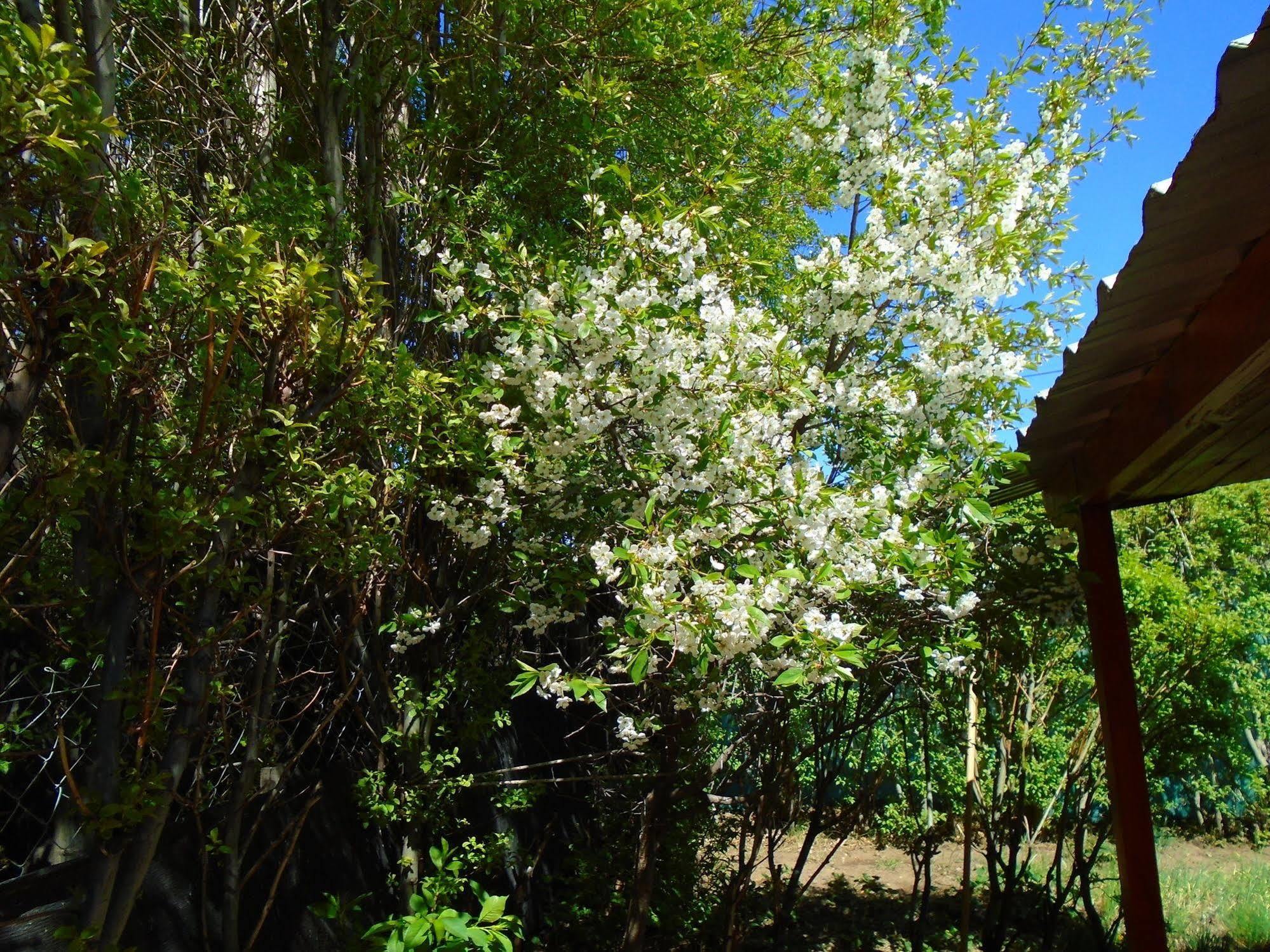 Los Fresnos El Calafate Luaran gambar
